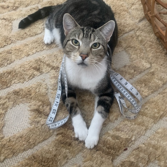 Meet your Posher, Monika - Picture 6 of 8